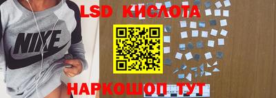 прущие грибы Рыбинск