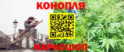прущие грибы Рыбинск