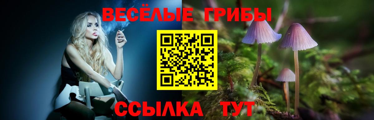 Псилоцибиновые грибы Cubensis Ростов Великий
